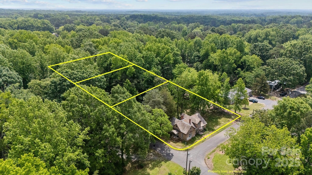 203 E College St, Star, NC 27356 - view of property location featuring a forest and property parcel outlined
