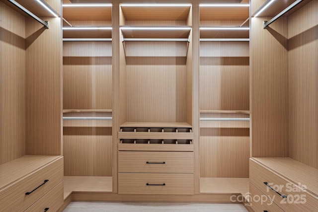 78 Running Creek Trl Unit 93, Arden, NC 28704 - view of spacious closet