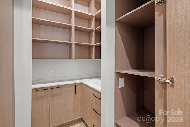 78 Running Creek Trl Unit 93, Arden, NC 28704 - view of pantry