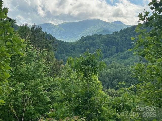0 Iverness Dr Unit 12, Waynesville, NC 28785