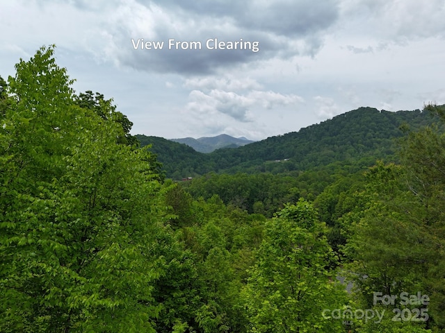 0 Iverness Dr Unit 12, Waynesville, NC 28785