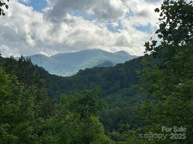 0 Iverness Dr Unit 12, Waynesville, NC 28785