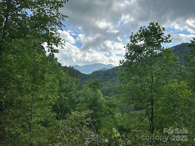0 Iverness Dr Unit 12, Waynesville, NC 28785