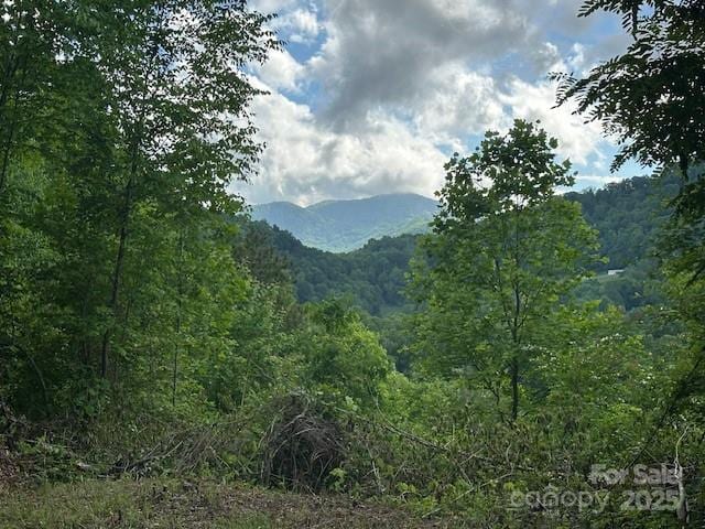0 Iverness Dr Unit 12, Waynesville, NC 28785