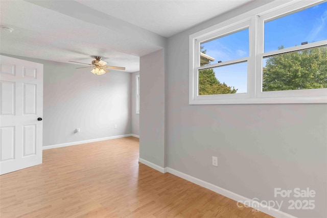 428 Jackson Rd, Fletcher, NC 28732 - spare room featuring baseboards, ceiling fan, and light wood finished floors
