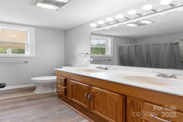 428 Jackson Rd, Fletcher, NC 28732 - bathroom with wood finished floors, toilet, double vanity, a textured ceiling, and a shower with curtain