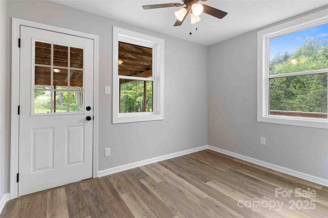 428 Jackson Rd, Fletcher, NC 28732 - doorway featuring wood finished floors and plenty of natural light