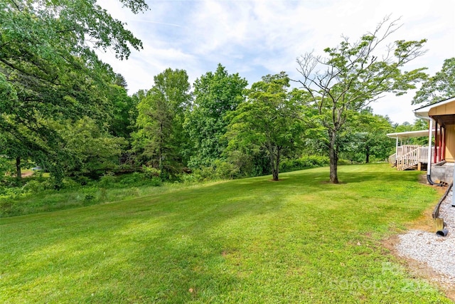 428 Jackson Rd, Fletcher, NC 28732 - view of green lawn