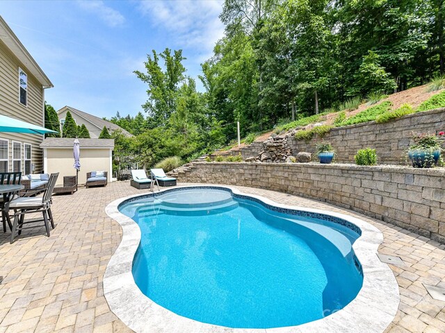 10800 Alabaster Dr, Davidson, NC 28036 - view of swimming pool featuring a patio area