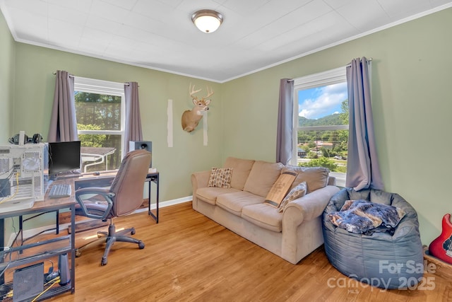202 Hillside Dr, Burnsville, NC 28714 - photo 14