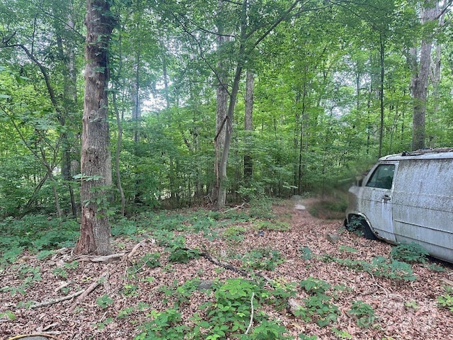 2206 Meadow Rd, Clover, SC 29710 - view of woods