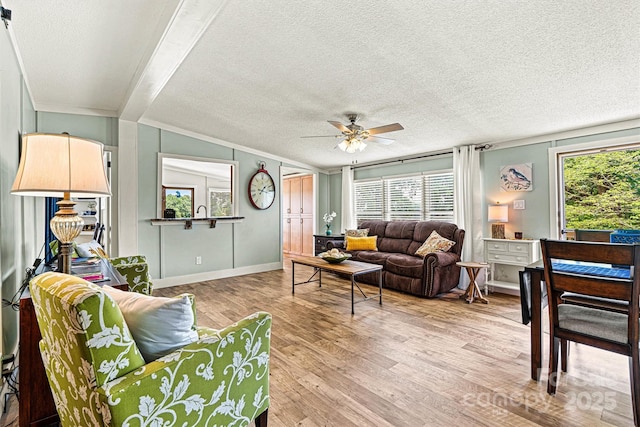 4920 Longfield St, Claremont, NC 28610 - living area featuring plenty of natural light, wood finished floors, a ceiling fan, baseboards, and a textured ceiling