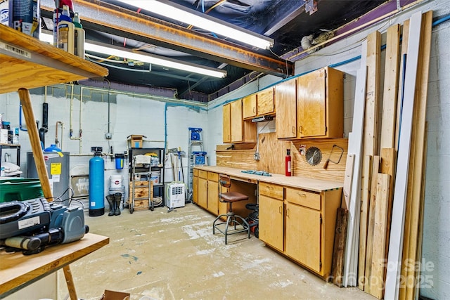 4920 Longfield St, Claremont, NC 28610 - below grade area featuring a workshop area
