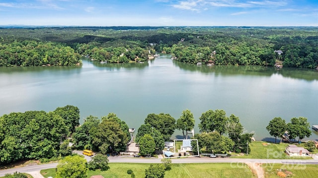 4920 Longfield St, Claremont, NC 28610 - bird's eye view of a heavily wooded area and a large body of water