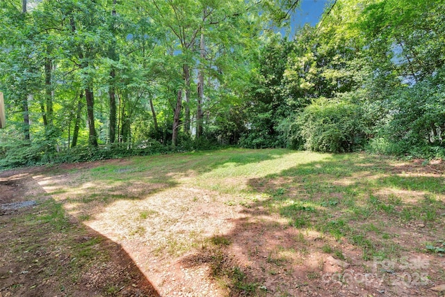 331 Glen Oaks Rd, Charlotte, NC 28270 - view of yard featuring a wooded view