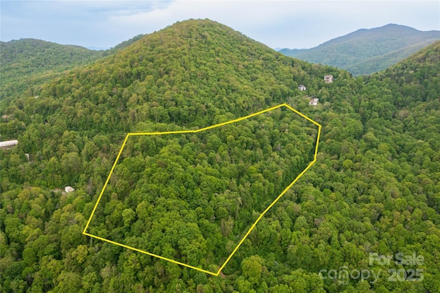 999 Mount Soma Blvd, Clyde, NC 28721
