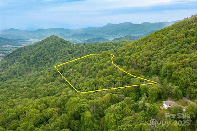 999 Mount Soma Blvd, Clyde, NC 28721