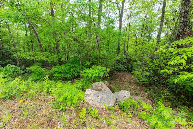 999 Mount Soma Blvd, Clyde, NC 28721