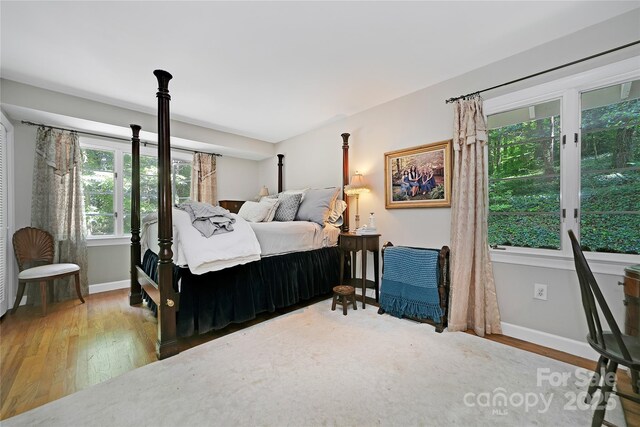 168 River Ridge Rd, Brevard, NC 28712 - bedroom with wood finished floors
