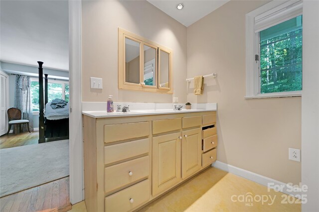 168 River Ridge Rd, Brevard, NC 28712 - bathroom featuring double vanity and wood finished floors