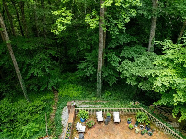 168 River Ridge Rd, Brevard, NC 28712 - view of yard
