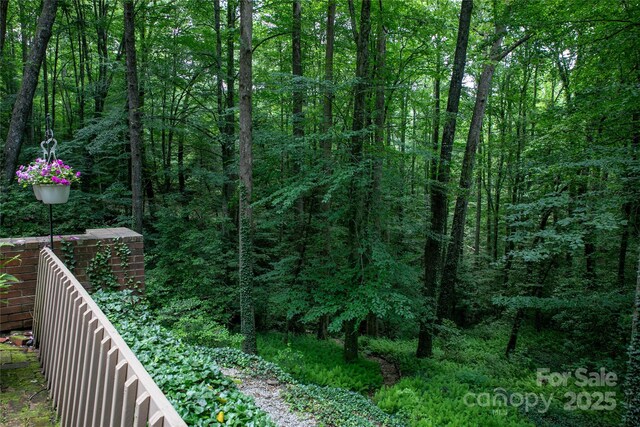 168 River Ridge Rd, Brevard, NC 28712 - view of wooded area