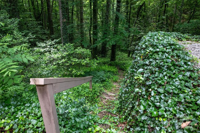 168 River Ridge Rd, Brevard, NC 28712 - exterior view of a heavily wooded area