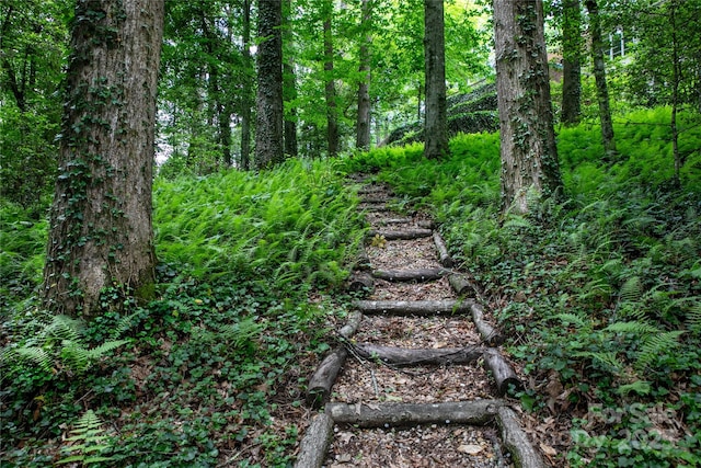 168 River Ridge Rd, Brevard, NC 28712 - view of tree filled area