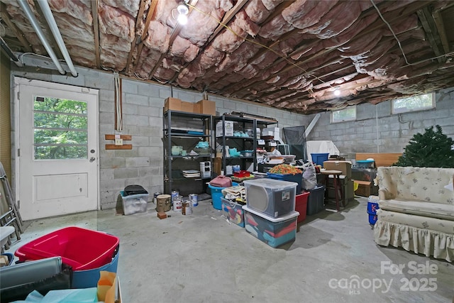 168 River Ridge Rd, Brevard, NC 28712 - below grade area featuring plenty of natural light and concrete block wall