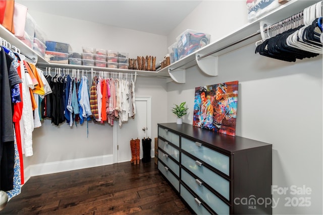 324 Squash Harvest Ct, Matthews, NC 28104 - walk in closet featuring hardwood / wood-style flooring