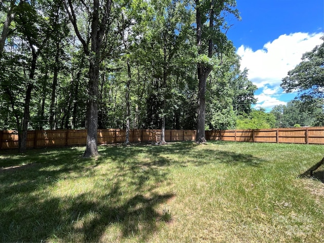 511 Evelyn Ave, Kannapolis, NC 28083 - view of yard