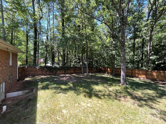 511 Evelyn Ave, Kannapolis, NC 28083 - view of yard