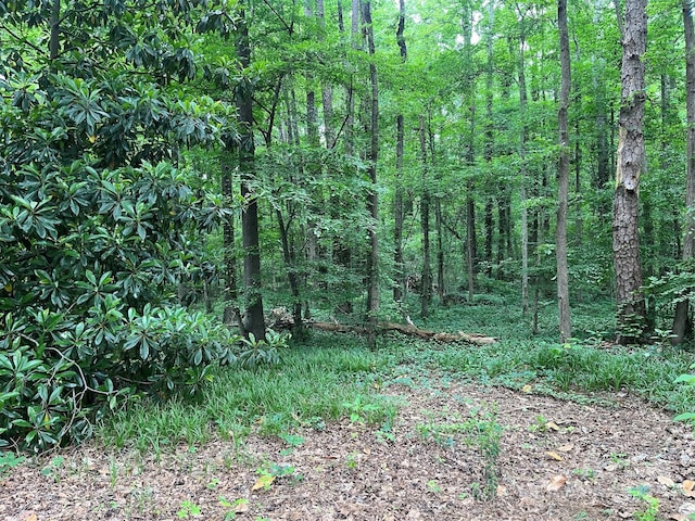 511 Evelyn Ave, Kannapolis, NC 28083 - view of woods