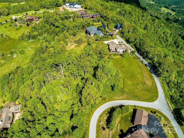 99999 Snow Ridge Dr Unit 11, Hendersonville, NC 28792