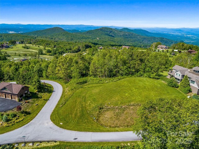 99999 Snow Ridge Dr Unit 11, Hendersonville, NC 28792