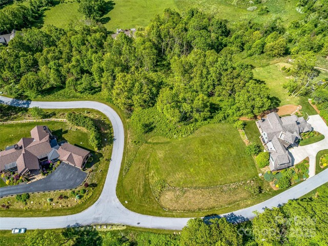 99999 Snow Ridge Dr Unit 11, Hendersonville, NC 28792