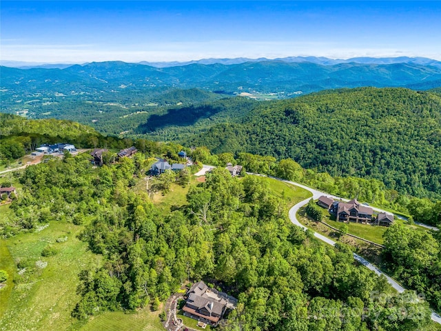 99999 Snow Ridge Dr Unit 11, Hendersonville, NC 28792