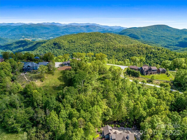 99999 Snow Ridge Dr Unit 11, Hendersonville, NC 28792