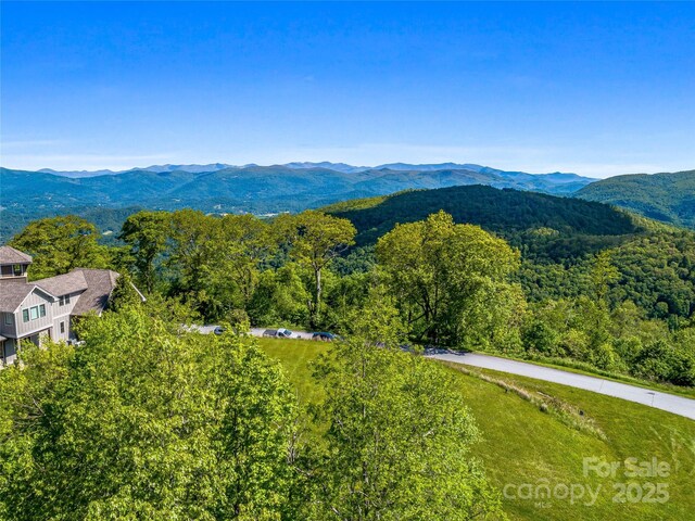 99999 Snow Ridge Dr Unit 11, Hendersonville, NC 28792