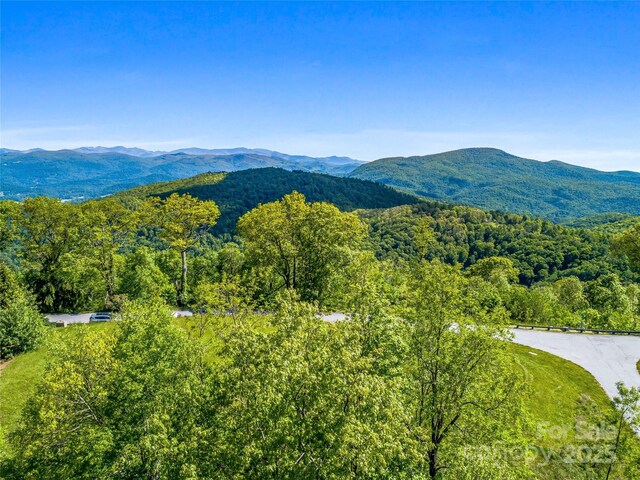 99999 Snow Ridge Dr Unit 11, Hendersonville, NC 28792