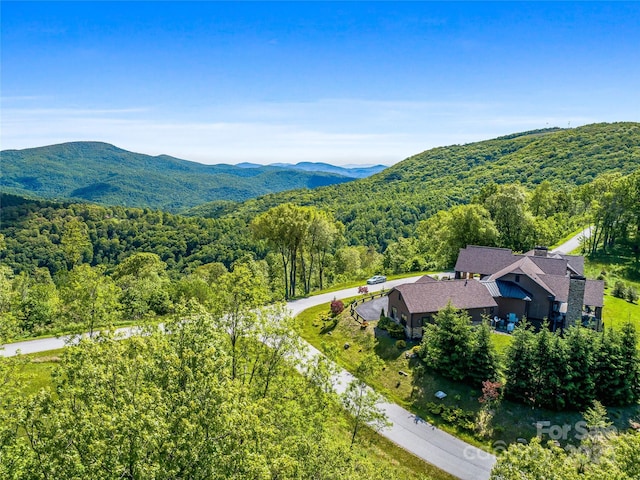 99999 Snow Ridge Dr Unit 11, Hendersonville, NC 28792