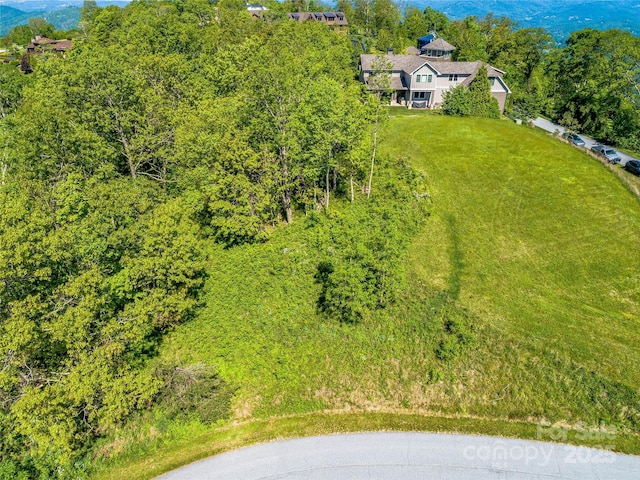 99999 Snow Ridge Dr Unit 11, Hendersonville, NC 28792