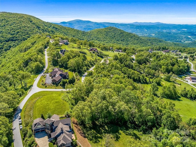 99999 Snow Ridge Dr Unit 11, Hendersonville, NC 28792