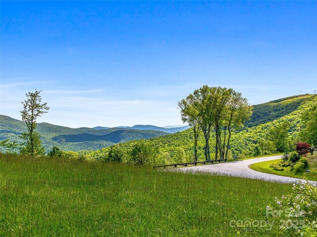 99999 Snow Ridge Dr Unit 11, Hendersonville, NC 28792