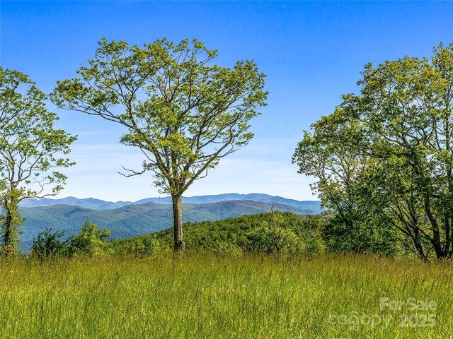 99999 Snow Ridge Dr Unit 11, Hendersonville, NC 28792