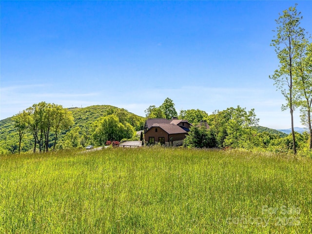 99999 Snow Ridge Dr Unit 11, Hendersonville, NC 28792