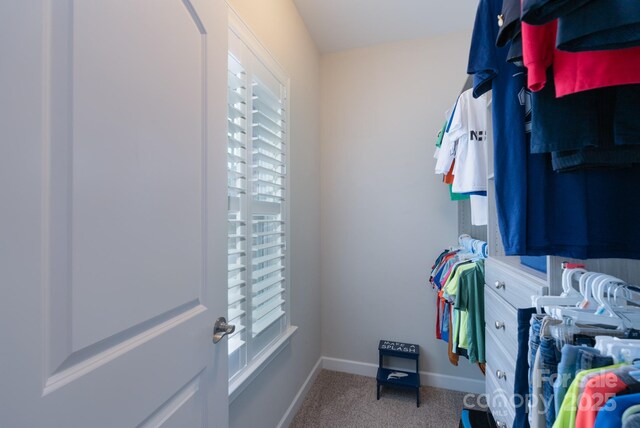 3666 Jacinta Ct, Tega Cay, SC 29708 - walk in closet with carpet