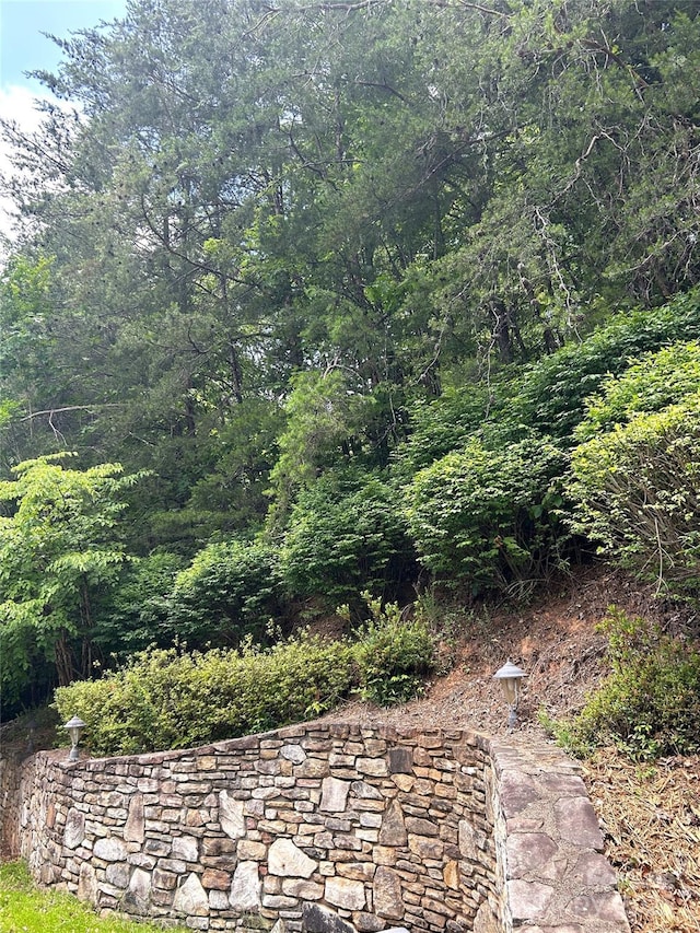 143 Cornell Cir, Lake Lure, NC 28746