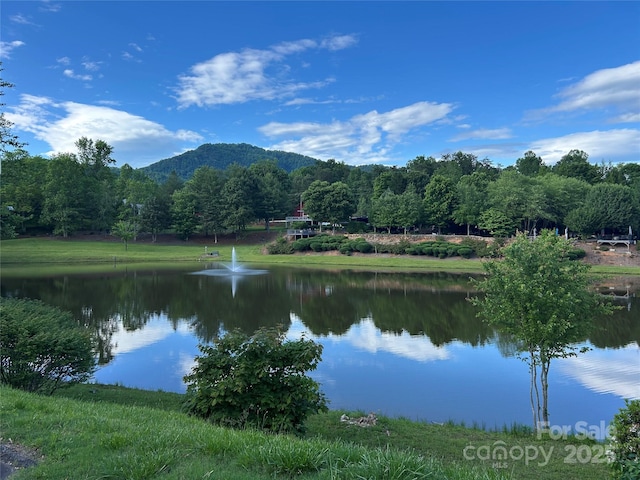 143 Cornell Cir, Lake Lure, NC 28746