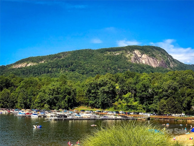 143 Cornell Cir, Lake Lure, NC 28746